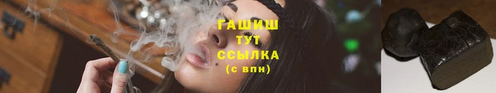 альфа пвп Медвежьегорск