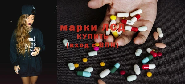 альфа пвп Медвежьегорск