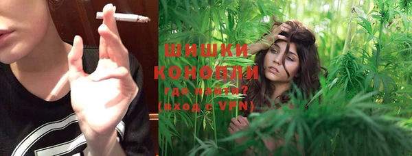 герыч Мегион