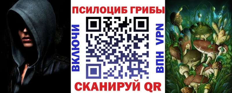 Псилоцибиновые грибы GOLDEN TEACHER  Заринск 